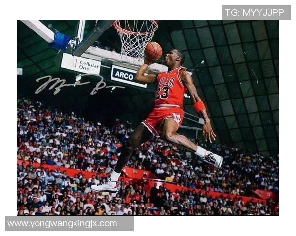 篮球明星健美之路：从赛场到健身房的完美蜕变与力量展示