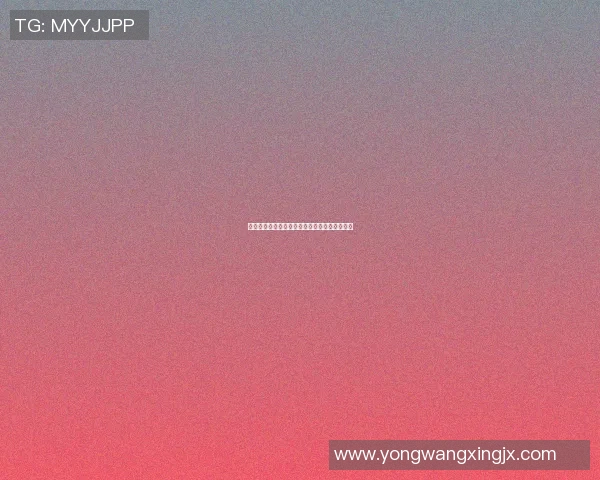 东莞篮球明星的崛起之路与他们的传奇故事分享
